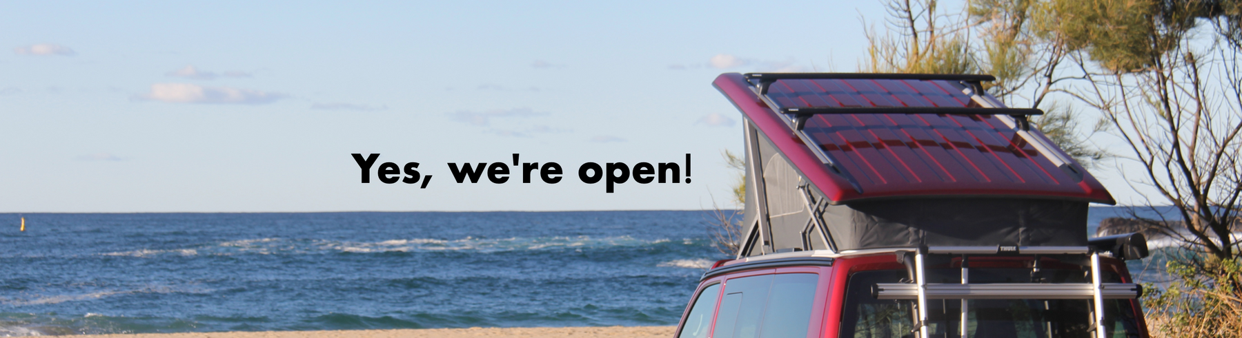 Yes, we're open!