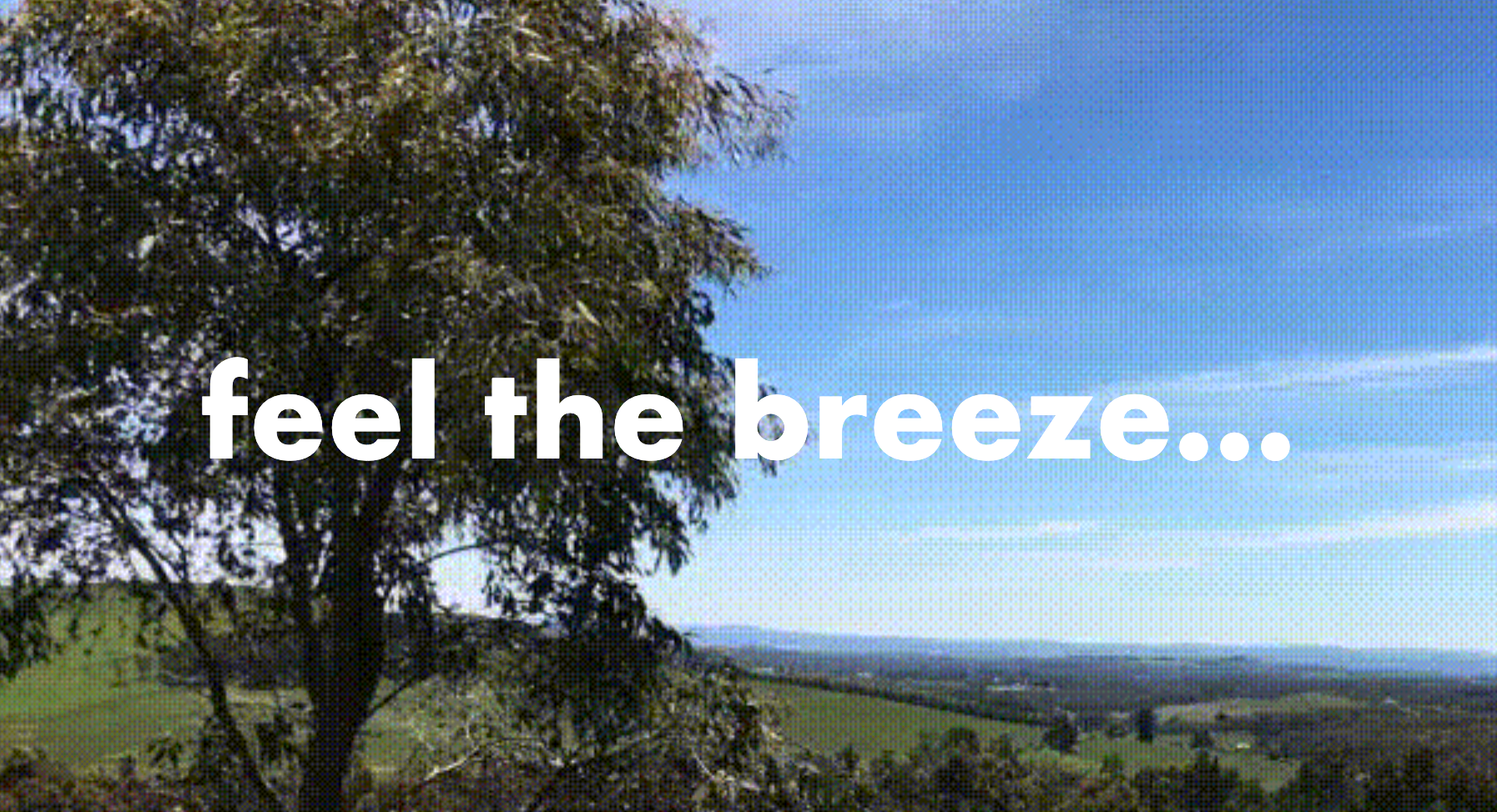 Feel the Breeze...