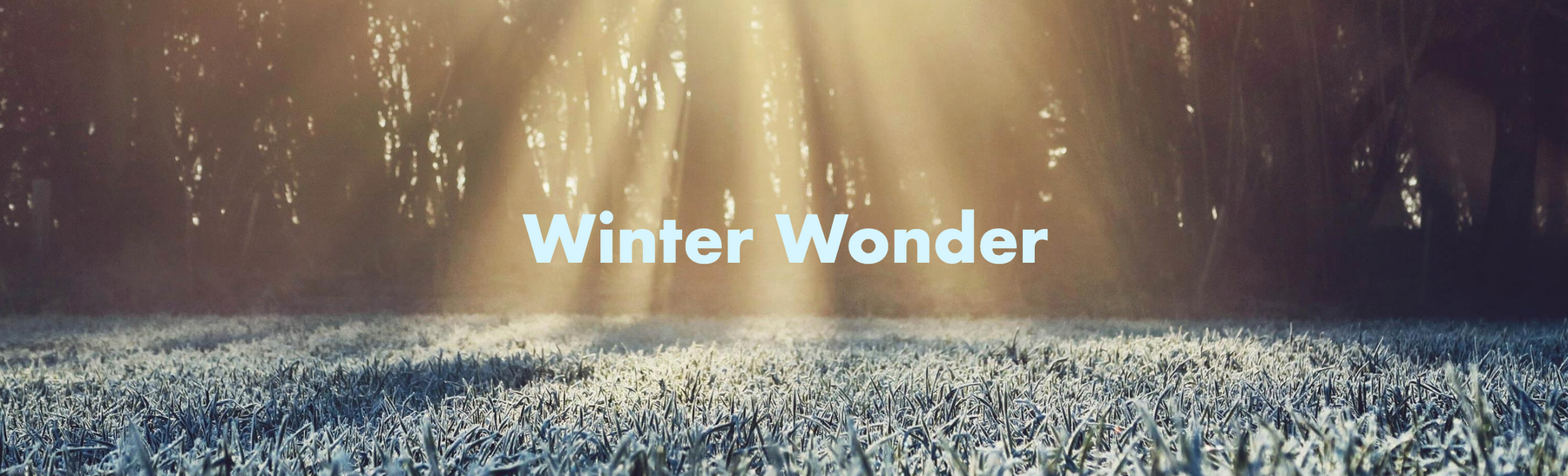 Winter Wonder