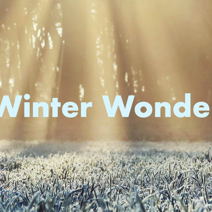 Winter Wonder