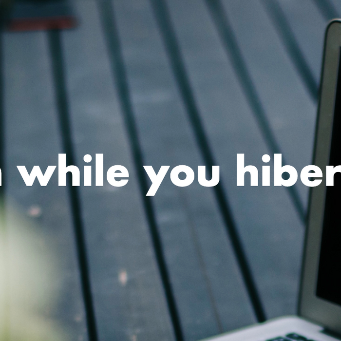 Plan while you hibernate