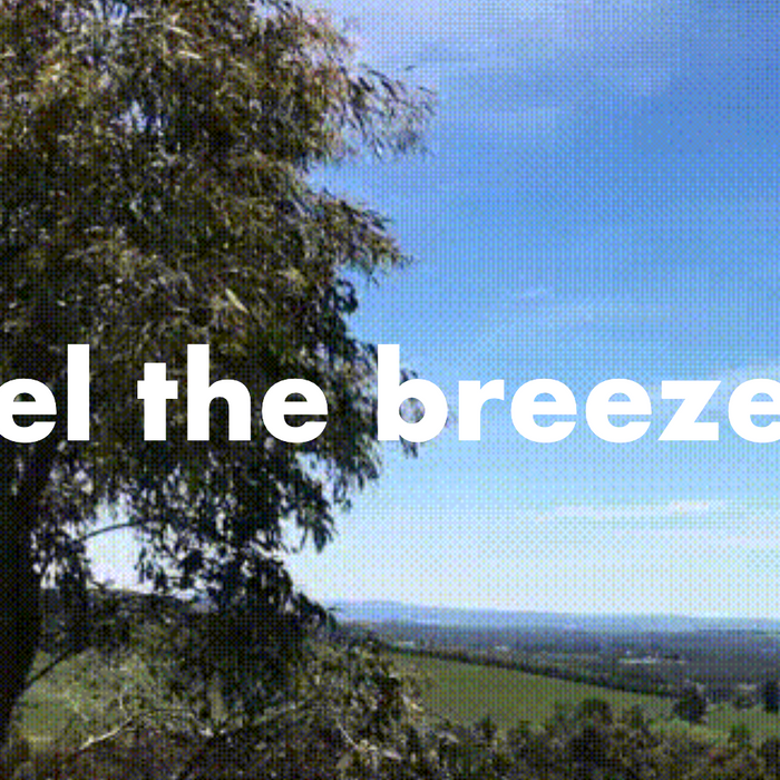 Feel the Breeze...