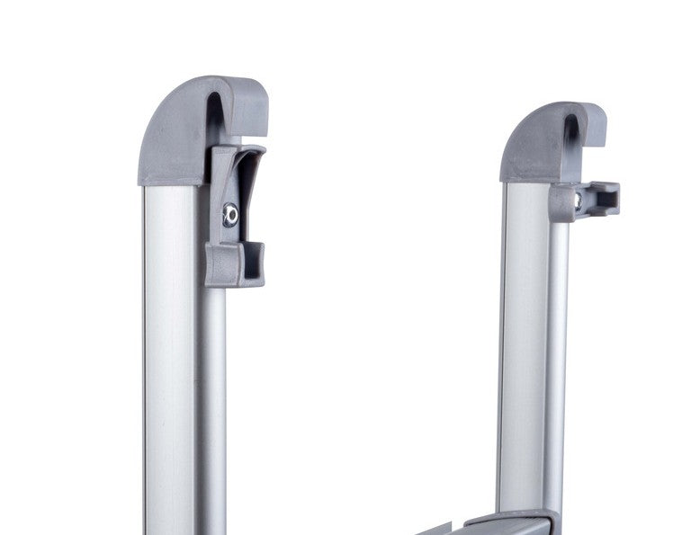 Elevating Roof Ladder