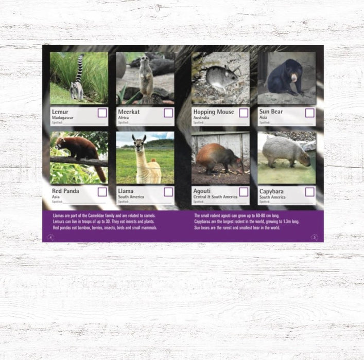 Spotto Book - Zoo