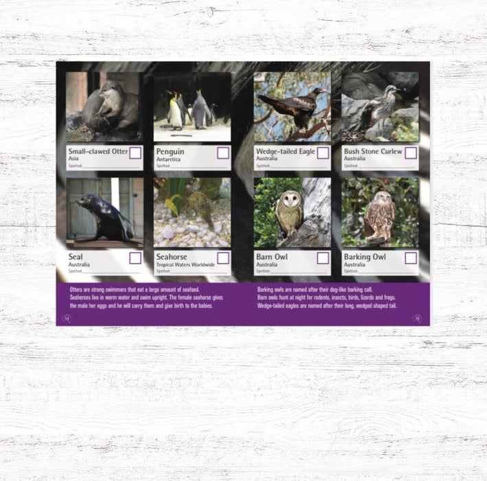 Spotto Book - Zoo