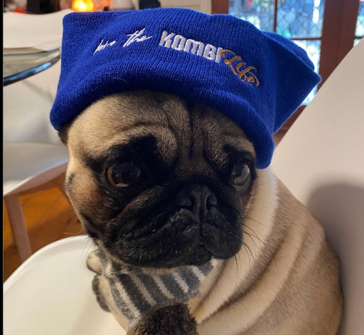 pug, beanie, kombi,
